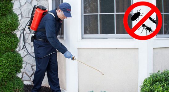 Polatlı Akrep İlaçlama böcek ilaçlama ve haşere kontrolü — ilaclama-tr.com